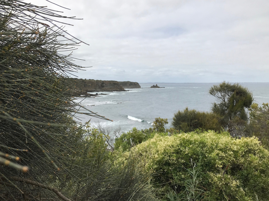 Shack Bay-Inverloch必去景点