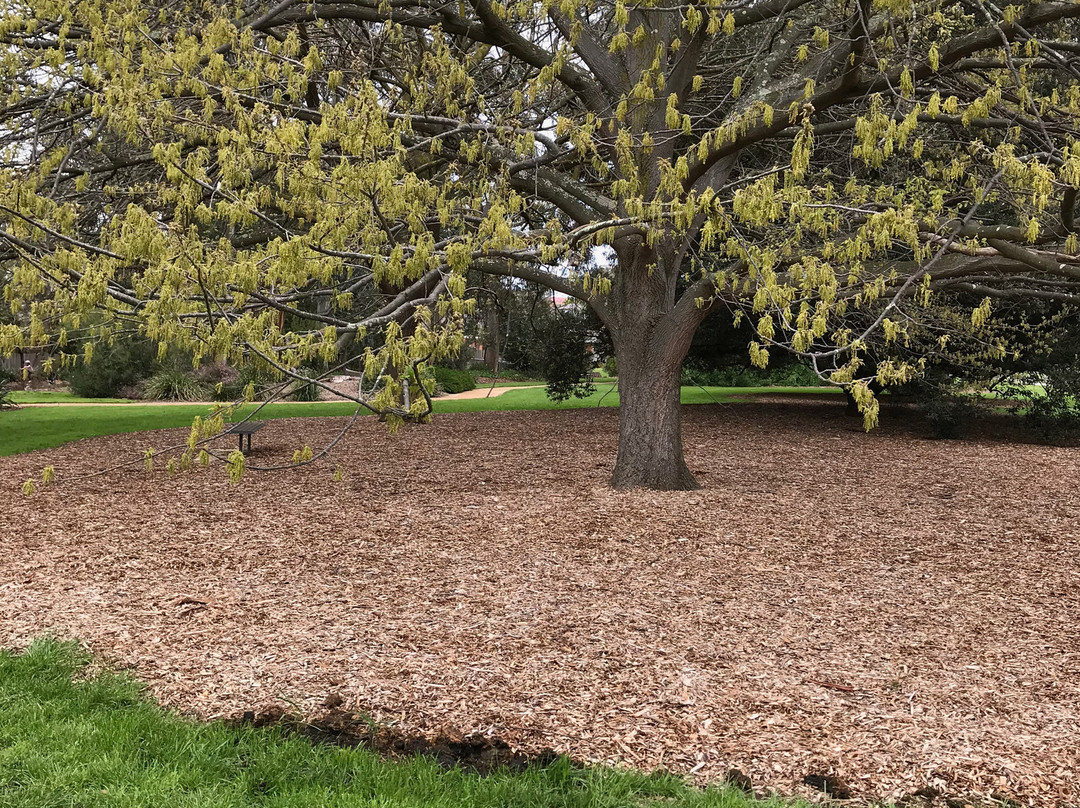 R E McIndoe Park-Leongatha必去景点