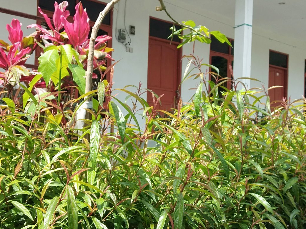 Pondok Hidayah Guesthouse主图