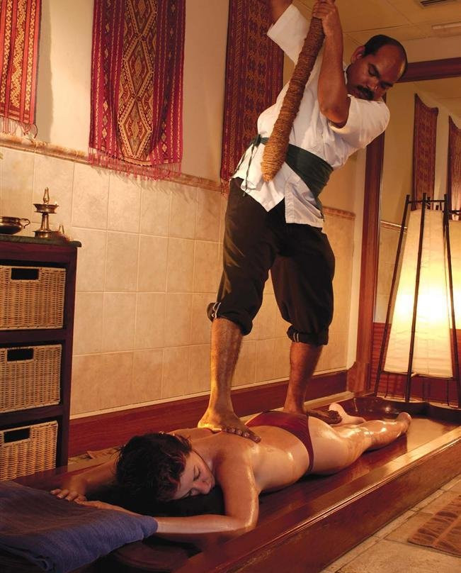 Adams Ayurveda Wellness Retreat景点图片