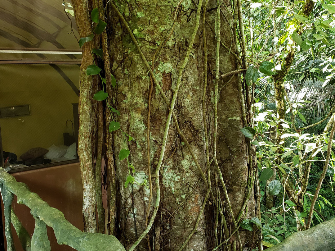 Maquenque Eco-Lodge主图