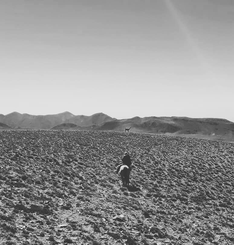 Reserva Natural Villavicencio-Las Heras必去景点