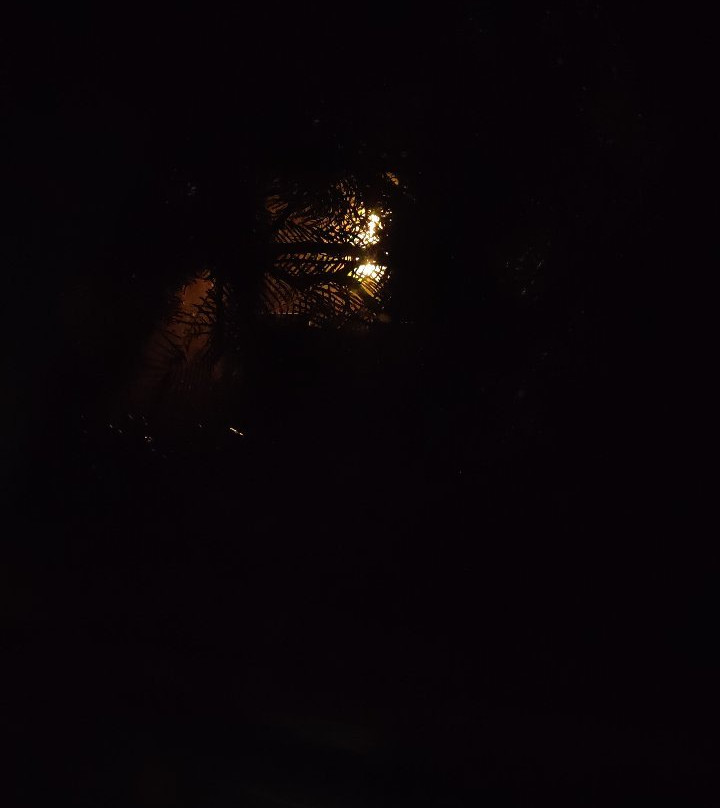 Ninja Home Stay , Thekkady主图