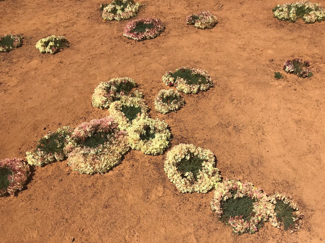 Perenjori Visitors Centre-Perenjori必去景点