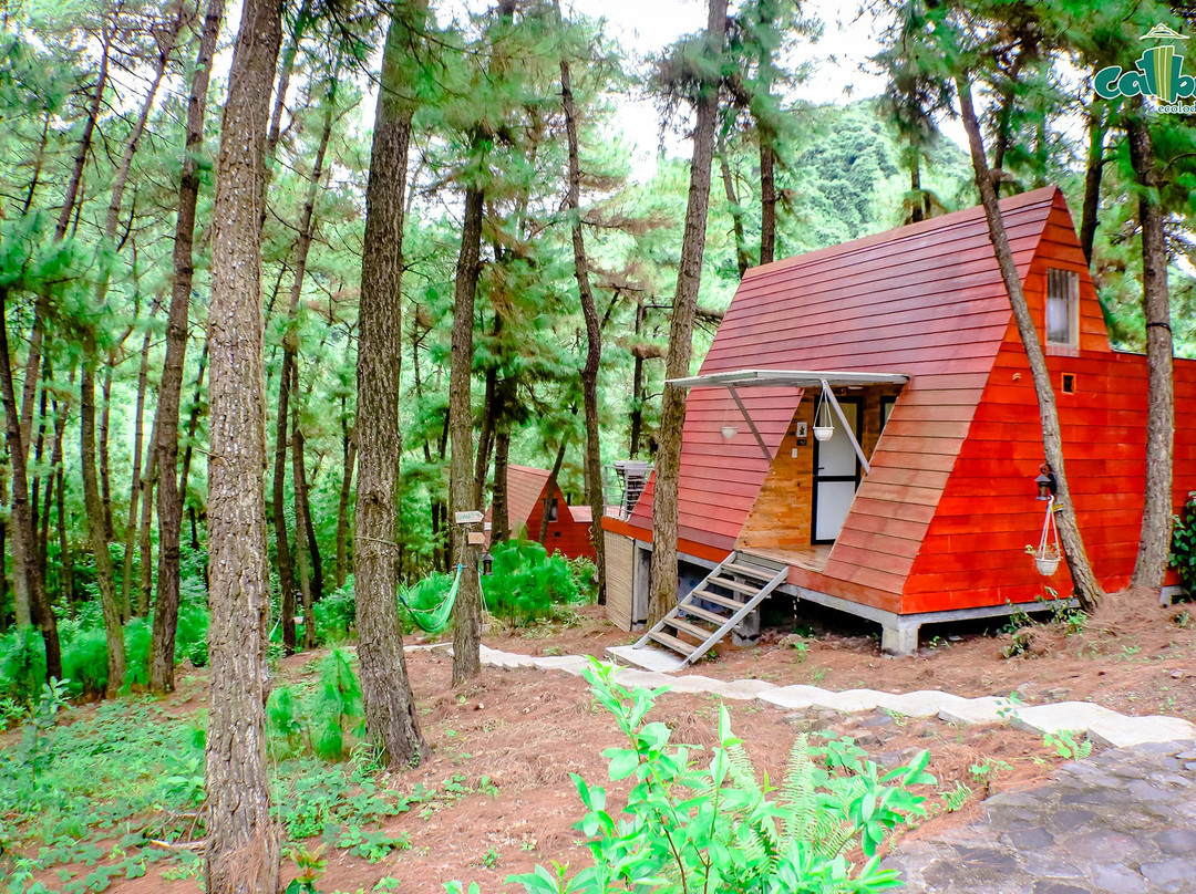 Cat Ba Eco Lodge主图