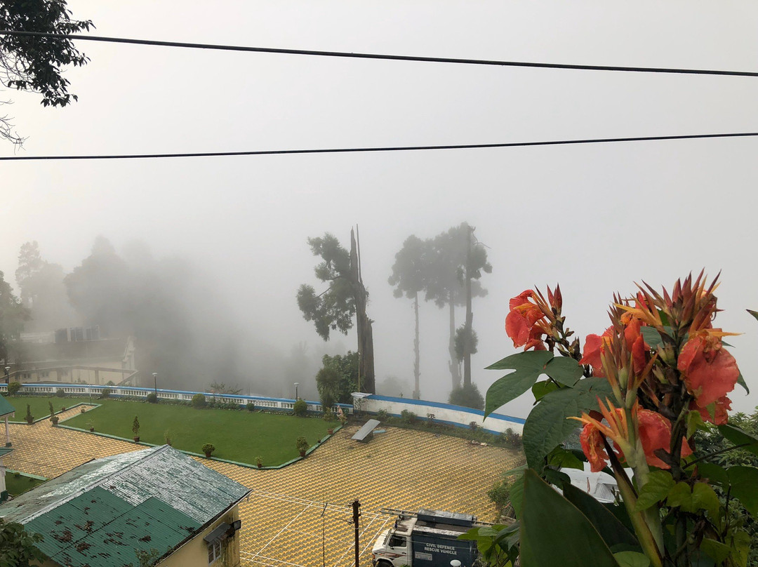 Shrubbery Nightingale Park-大吉岭必去景点
