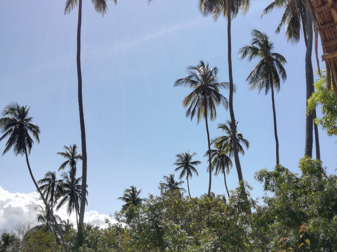 Filao Beach by Sansi主图