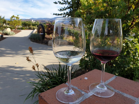 Saddle Up Wine Tours-特曼库拉必去景点