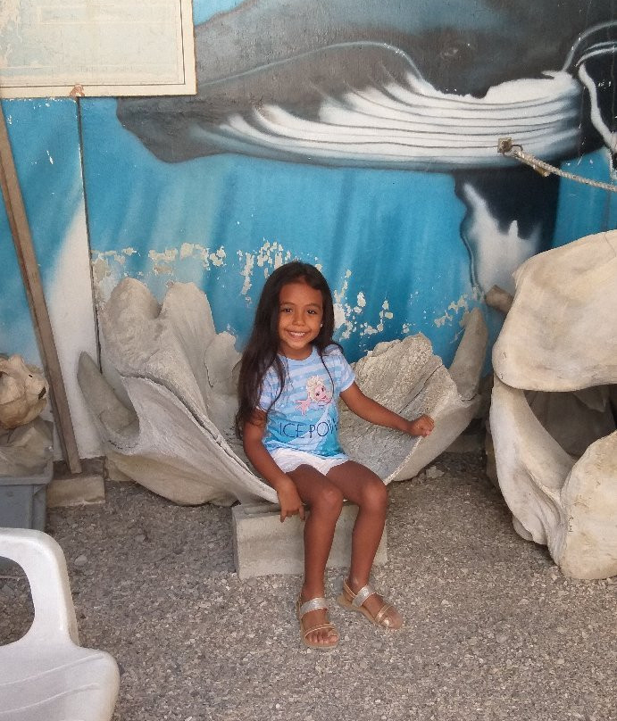 Museo de las Ballenas-萨利纳斯必去景点