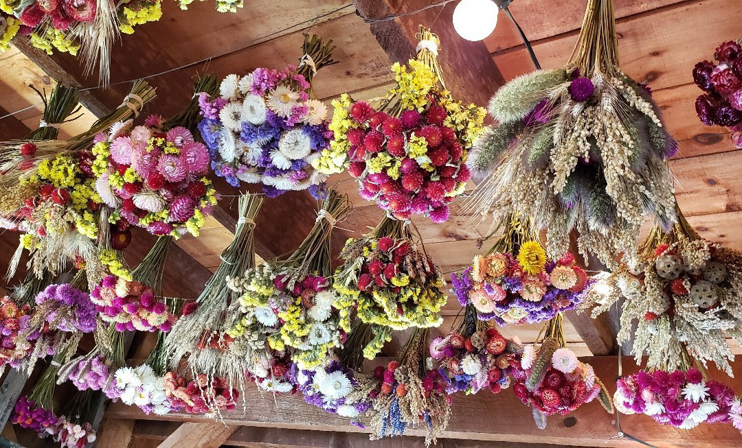 Riverview Farm-Plainfield必去景点