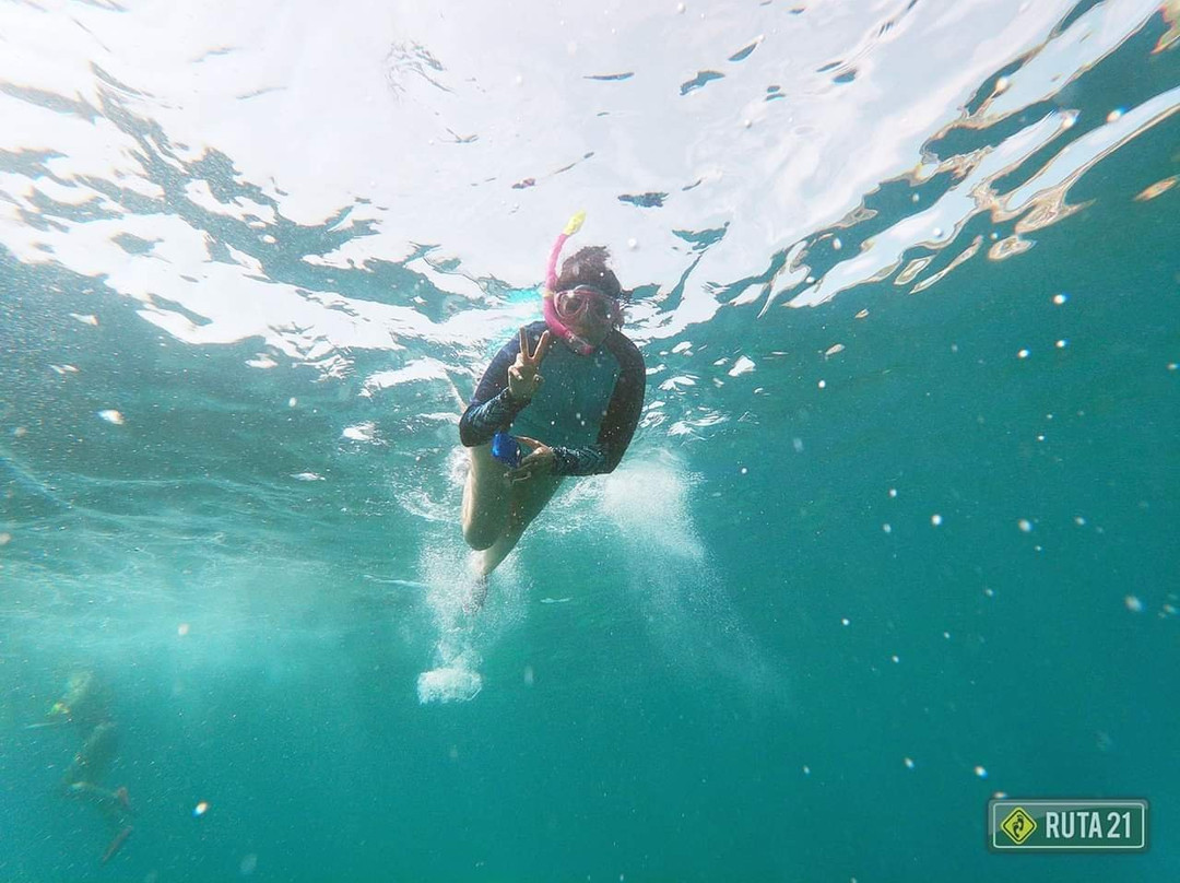 RUTA 21-瓜达拉哈拉必去景点