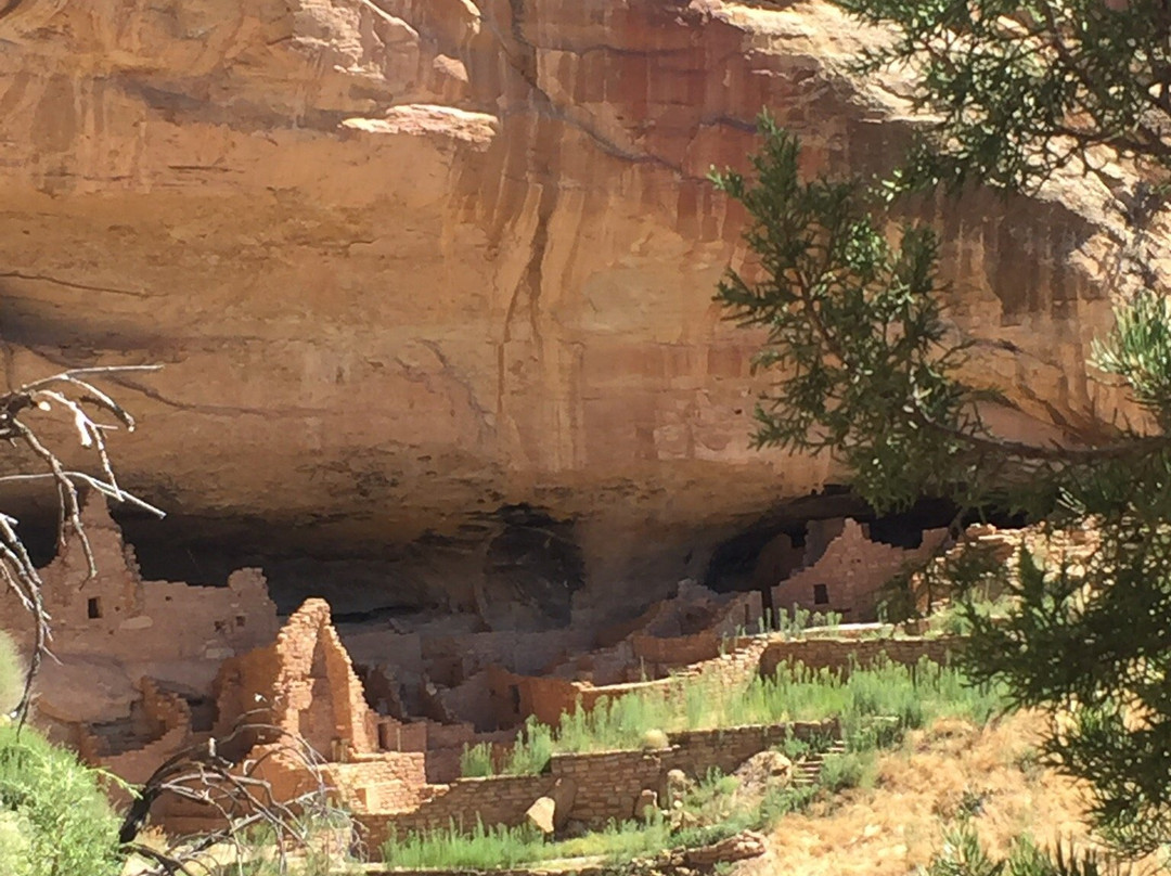 Long House-梅萨维德国家公园必去景点