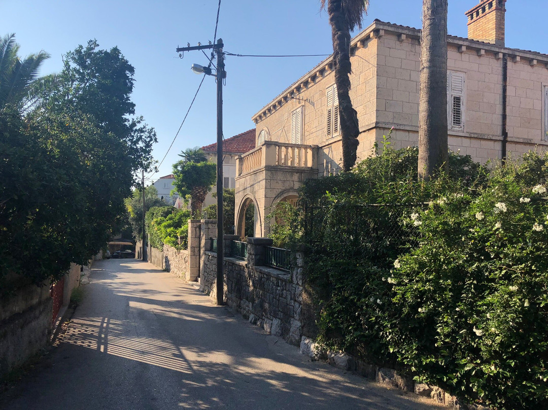 Guest House Radovic主图