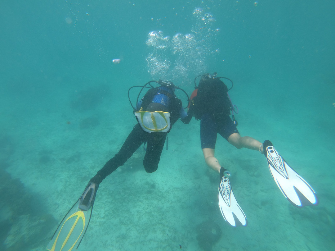 Nakupenda Diving Center-江比阿尼必去景点