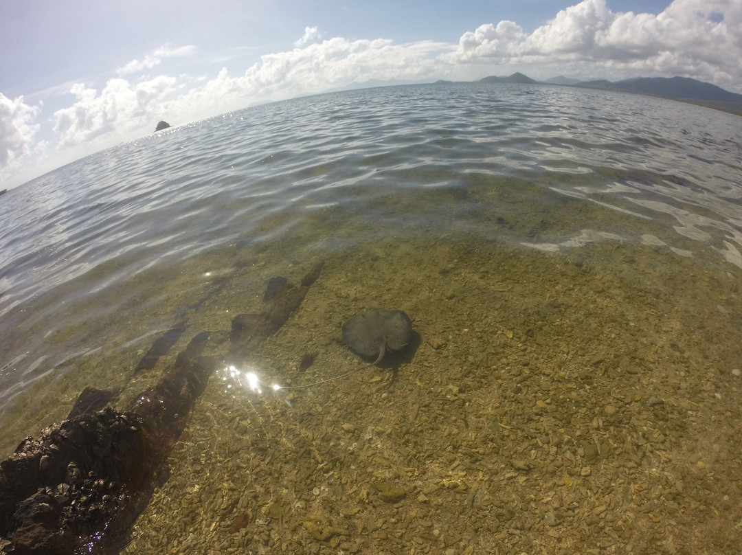 Pacific Watersports-棕榈湾必去景点
