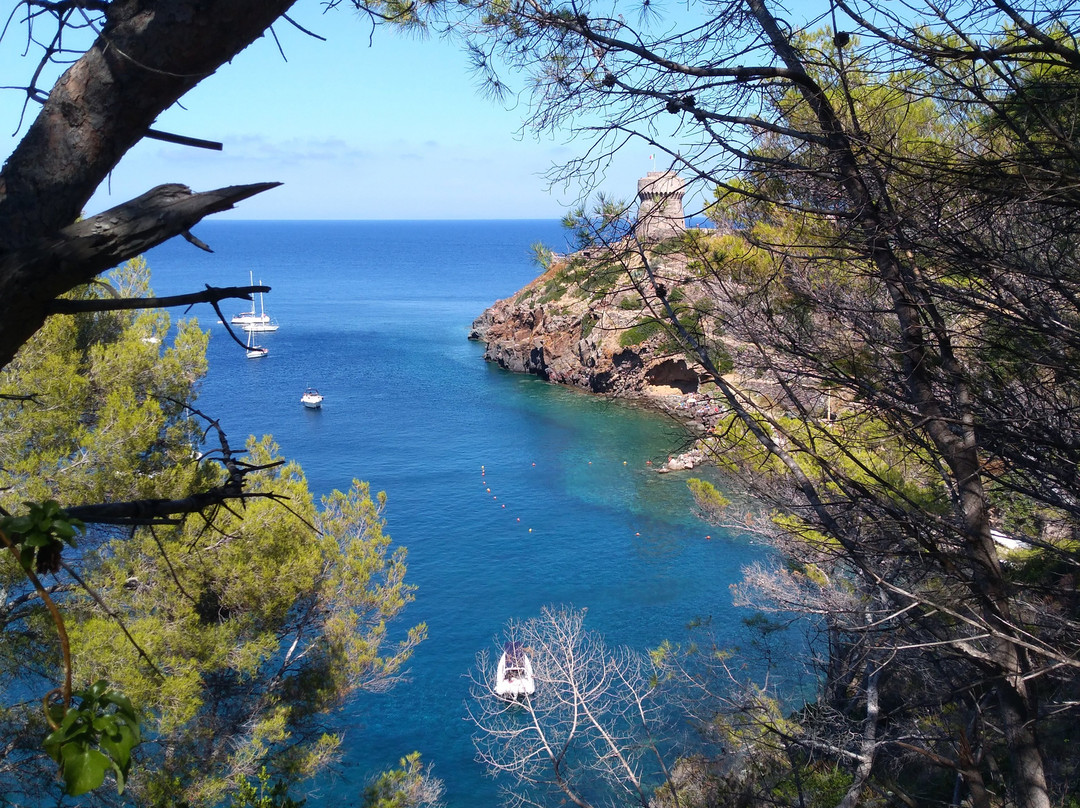 Forte di San Giorgio-Capraia Isola必去景点