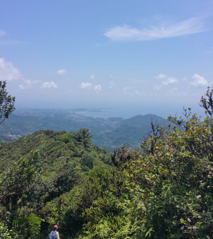 Mount Qua Qua Grenada-Grand Etang National Park必去景点
