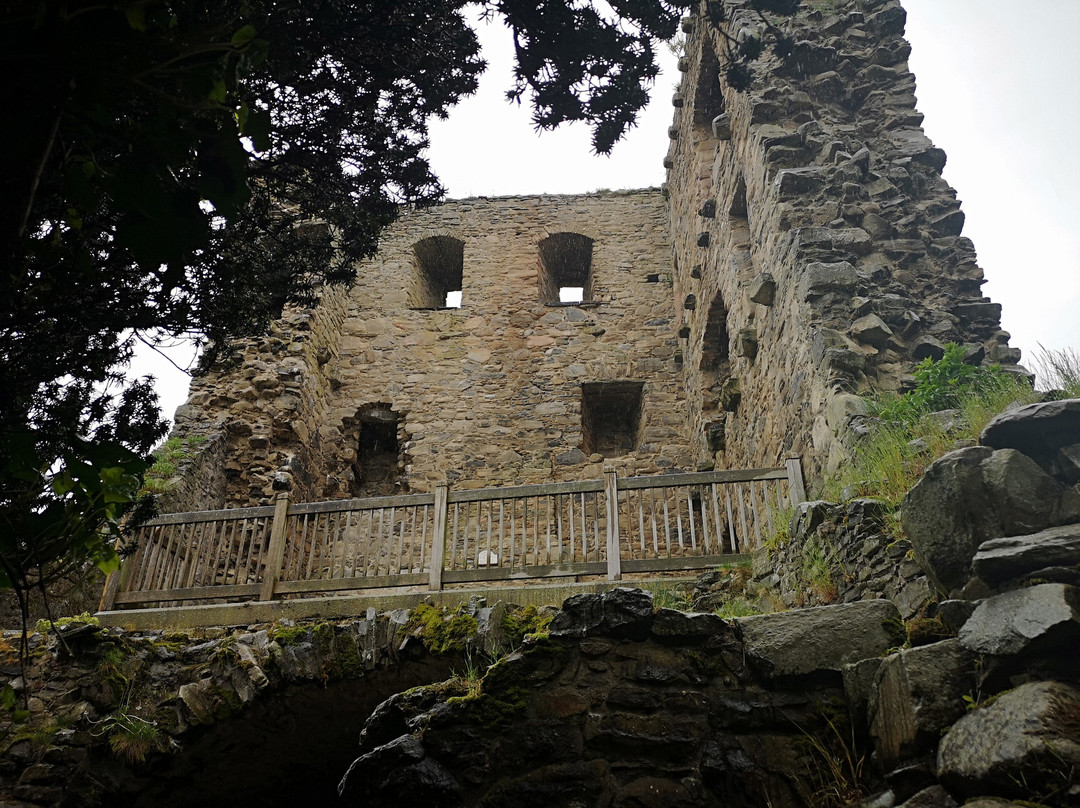 Drumin Castle景点图片