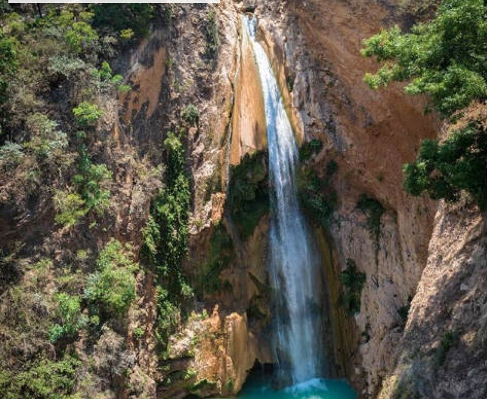 Hotel Fandangos主图