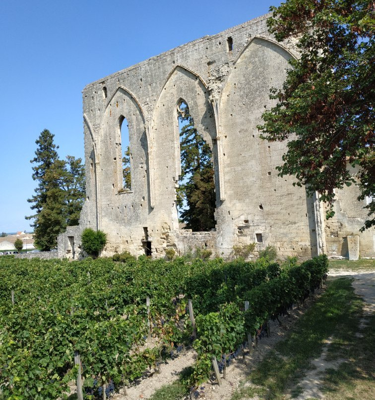 Hotel Palais Cardinal主图