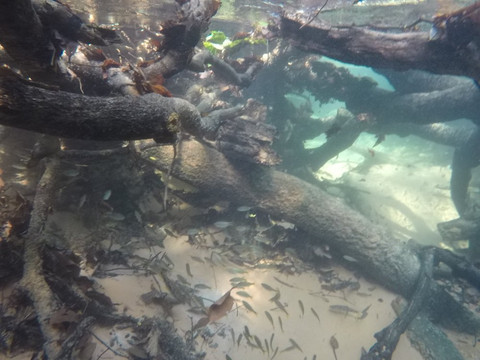 Chapada Off Road-Chapada dos Guimaraes必去景点