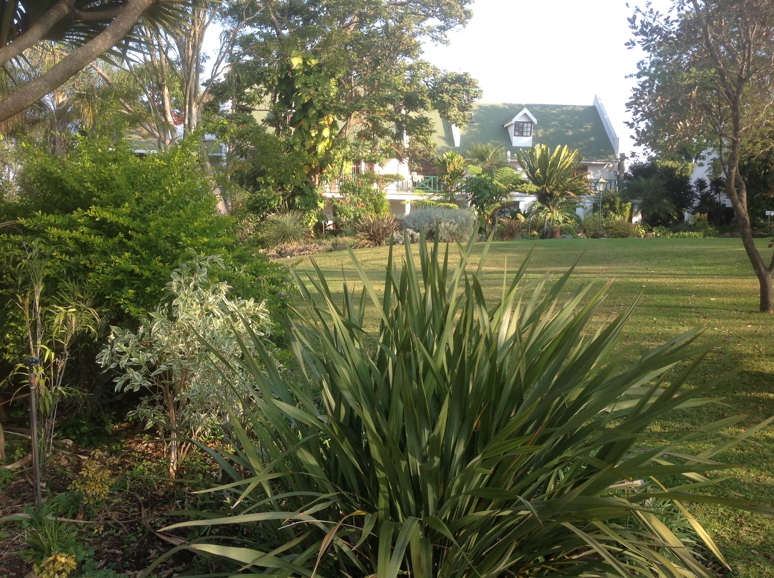 Cuckoo's Nest Guest House-浴室