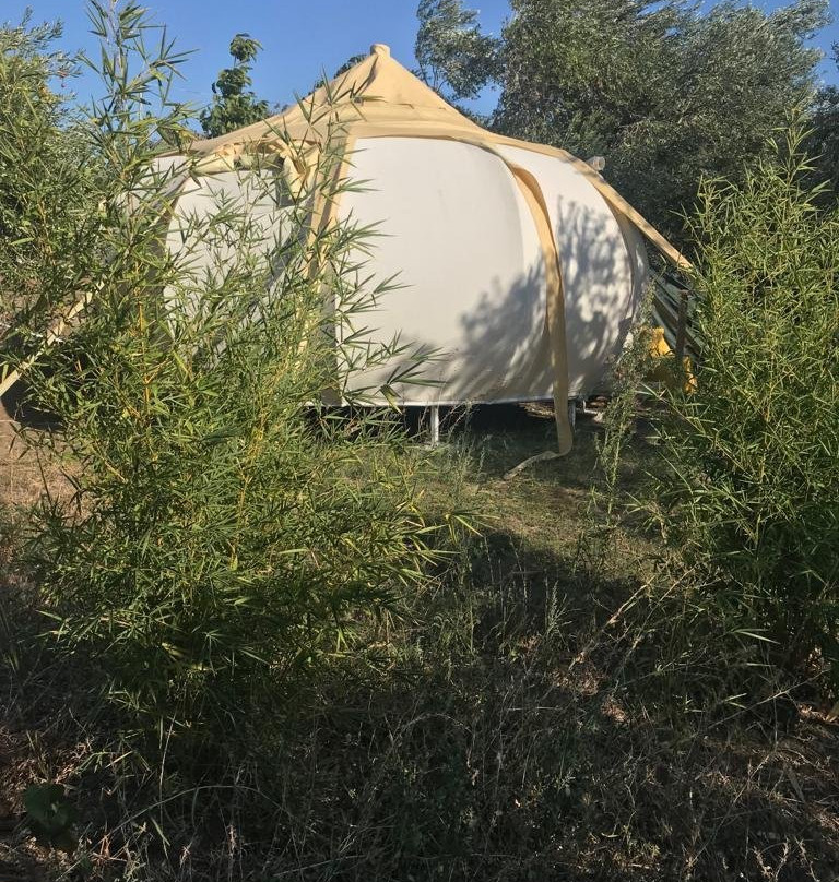 柯鲁罕酒店主图