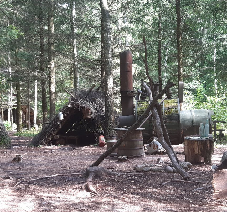 Podlaski Ogród Ziołowy景点图片