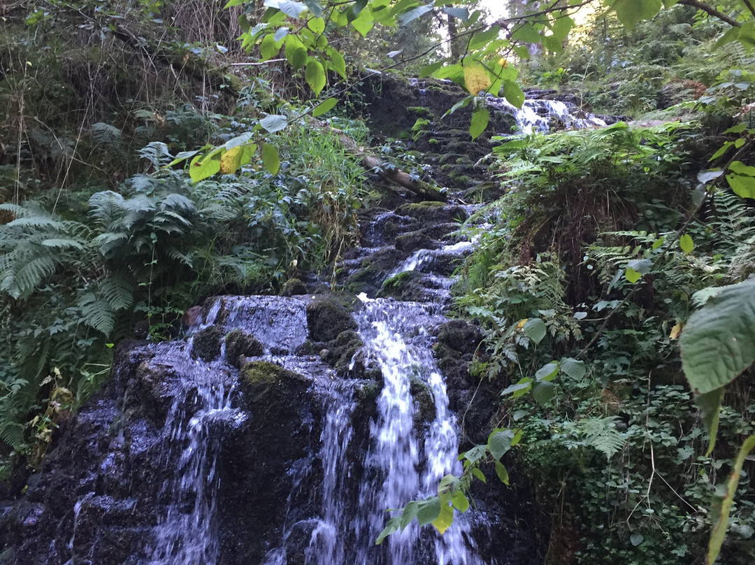 Cascade de Faymont景点图片