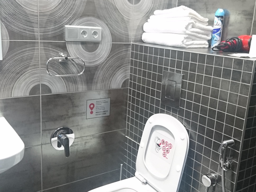Hotel Vladpoint主图