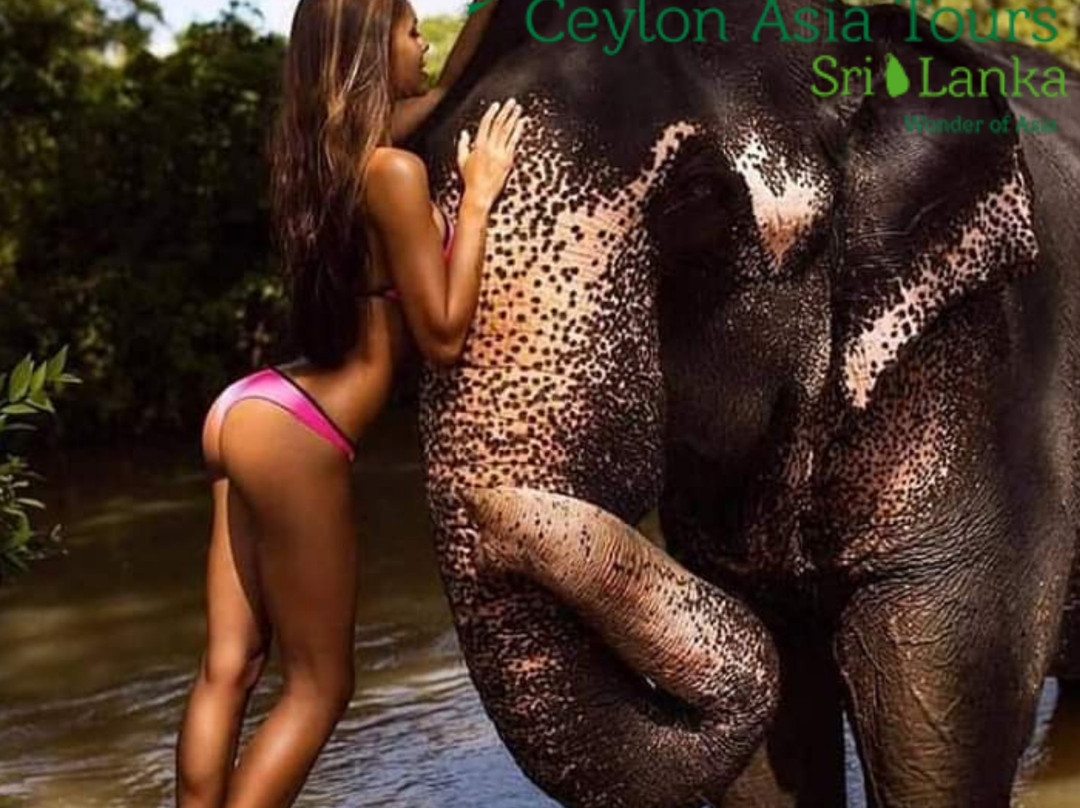 Ceylon Asia Tours-哈顿必去景点