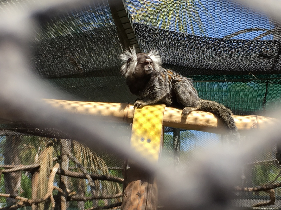 Zoologico Parque del Nino景点图片