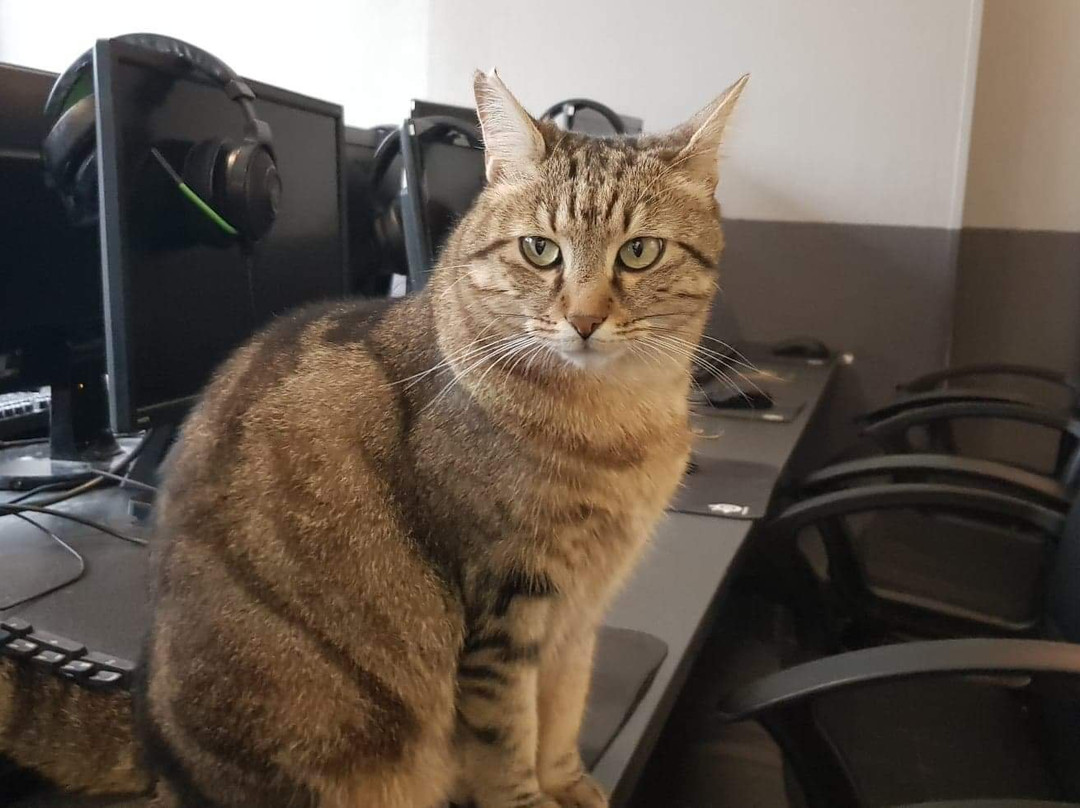 E-BAR-贝桑松必去景点