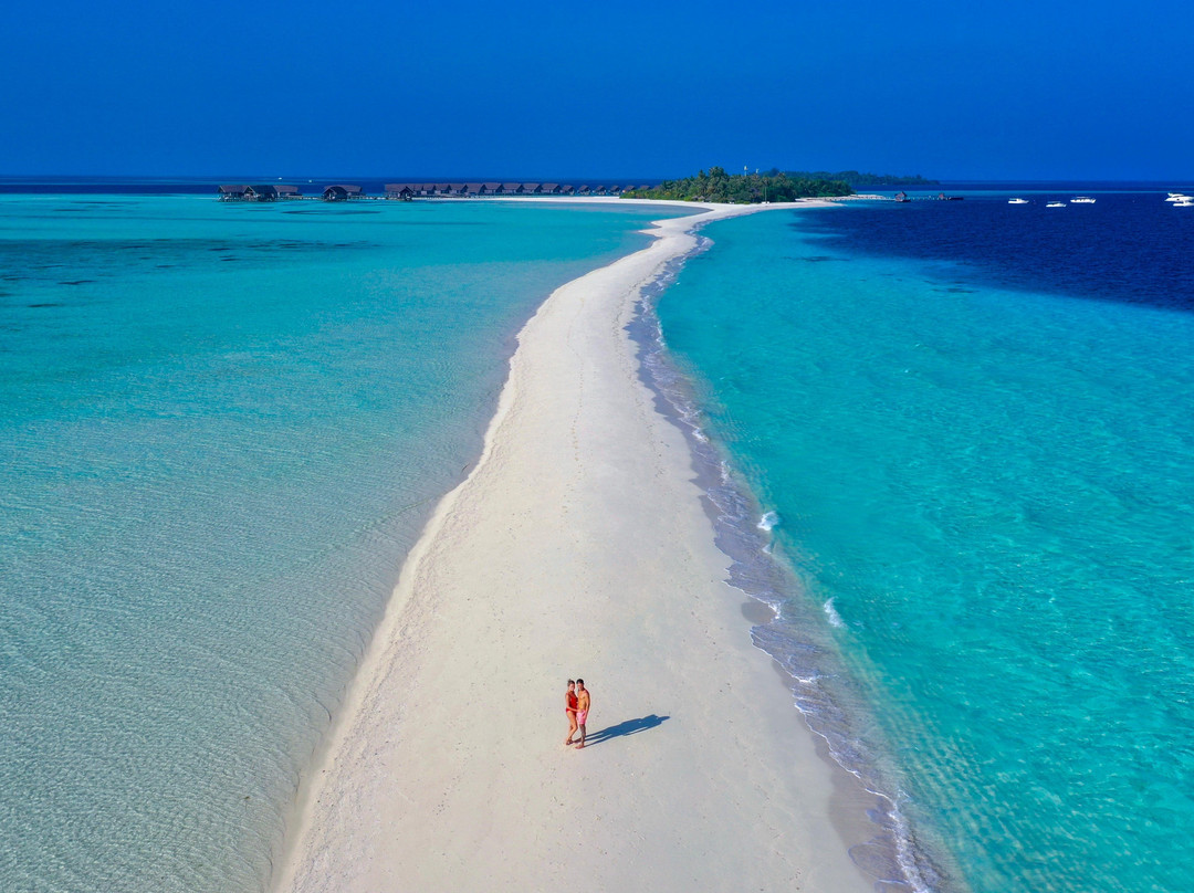 SHADOWPALM TOURS-马富士岛必去景点