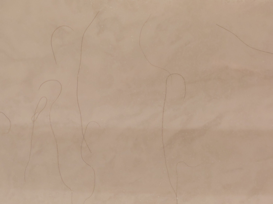 Bangor Grande Hotel & Conference Center主图