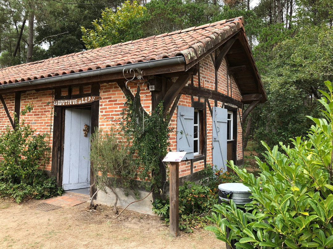 Chapelle de Bouricos景点图片