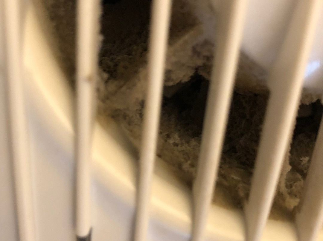 The Hatchet Inn主图