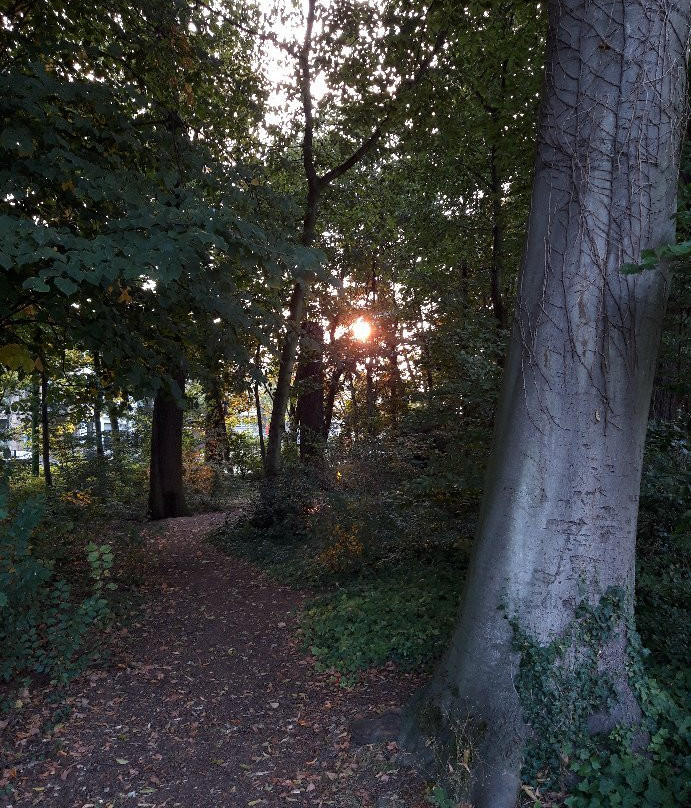 Te Boelaerpark-安特卫普必去景点