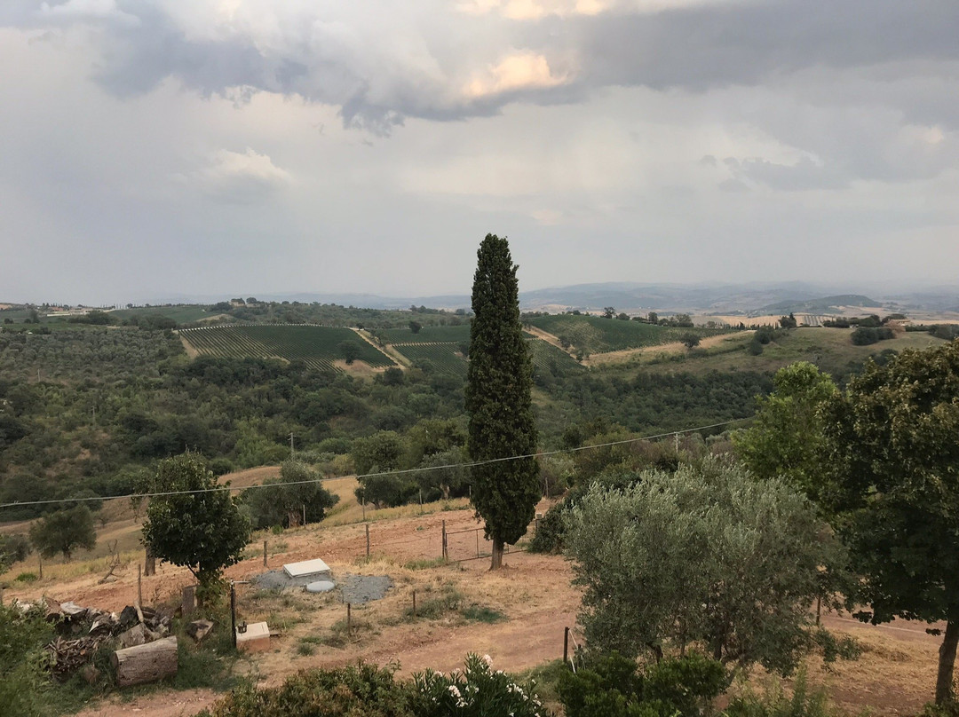 Salaiolo 176 Azienda Agricola主图