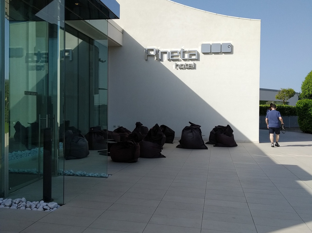 皮内塔酒店主图