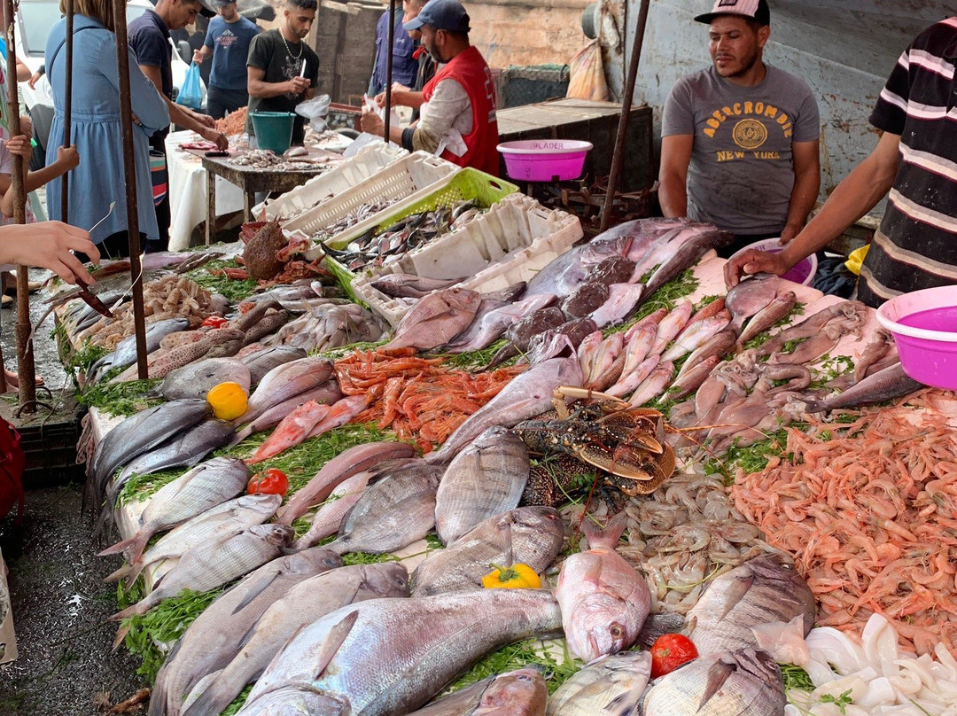 Marruecos a Viaje-马拉喀什必去景点