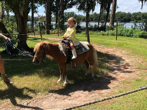 Old McMicky's Farm-Odessa必去景点