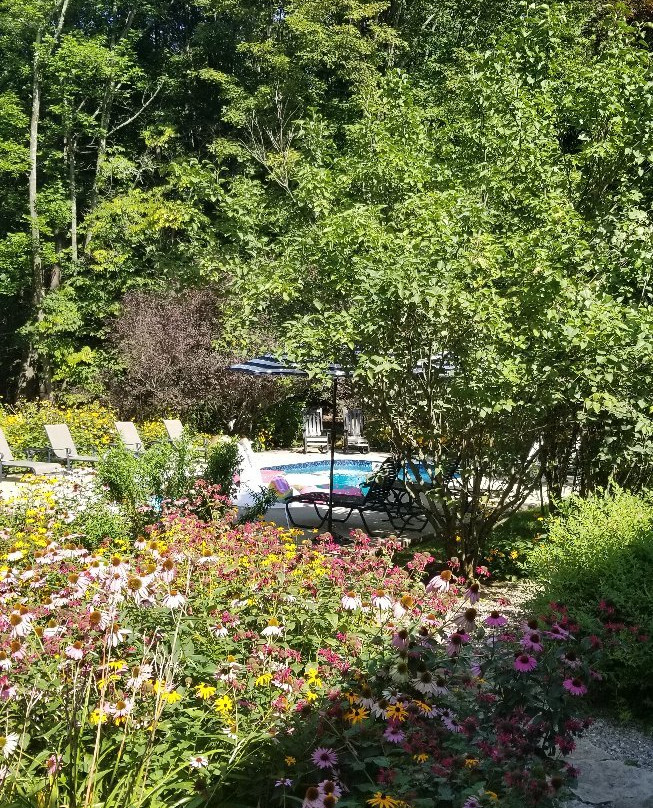 Country House Bed & Breakfast主图