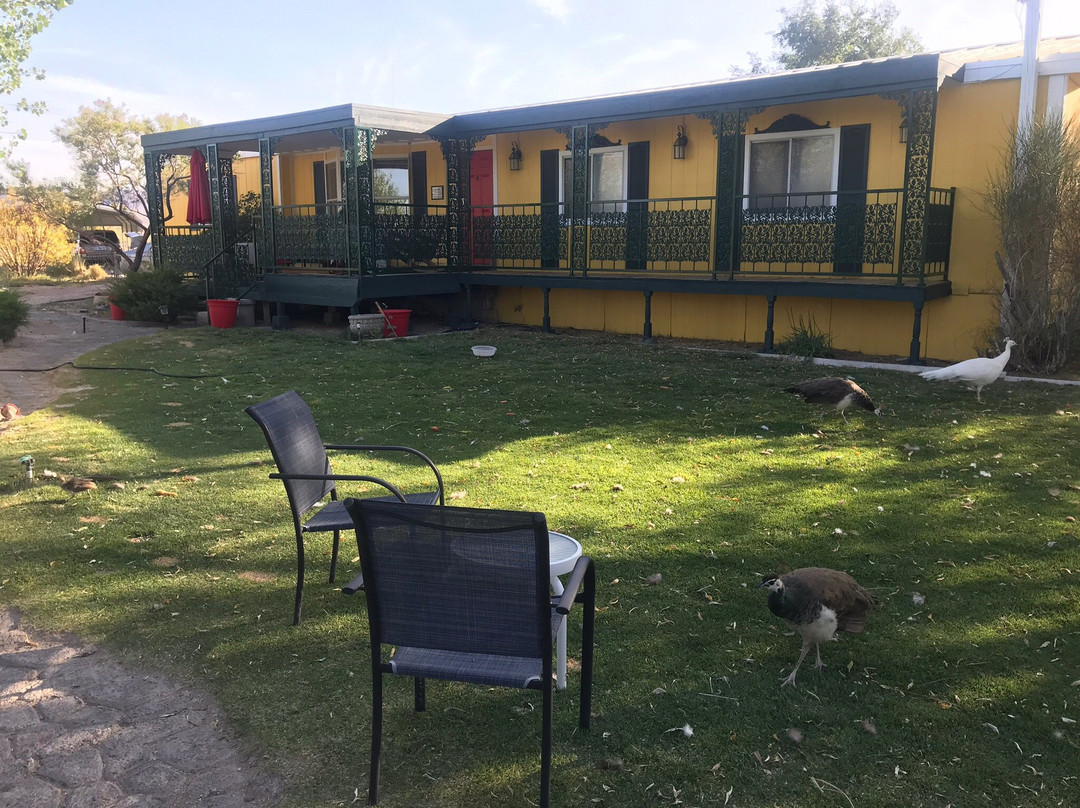 Shady Lady Bed and Breakfast主图