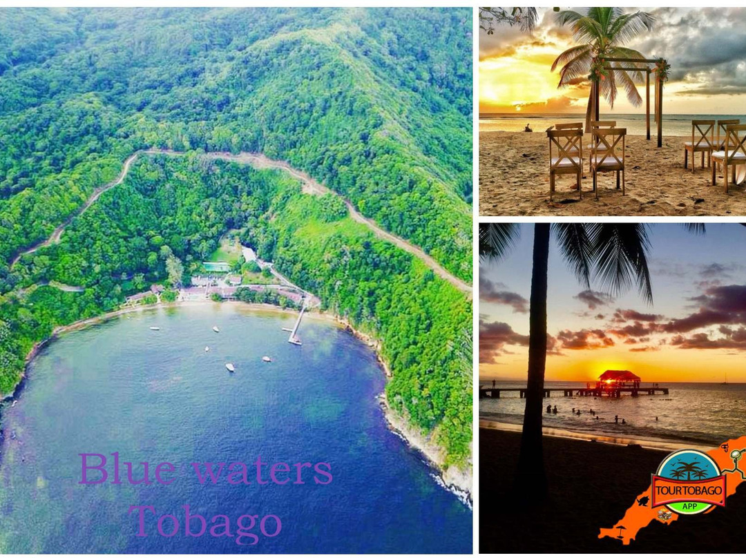 Tour Tobago-克朗波因特必去景点
