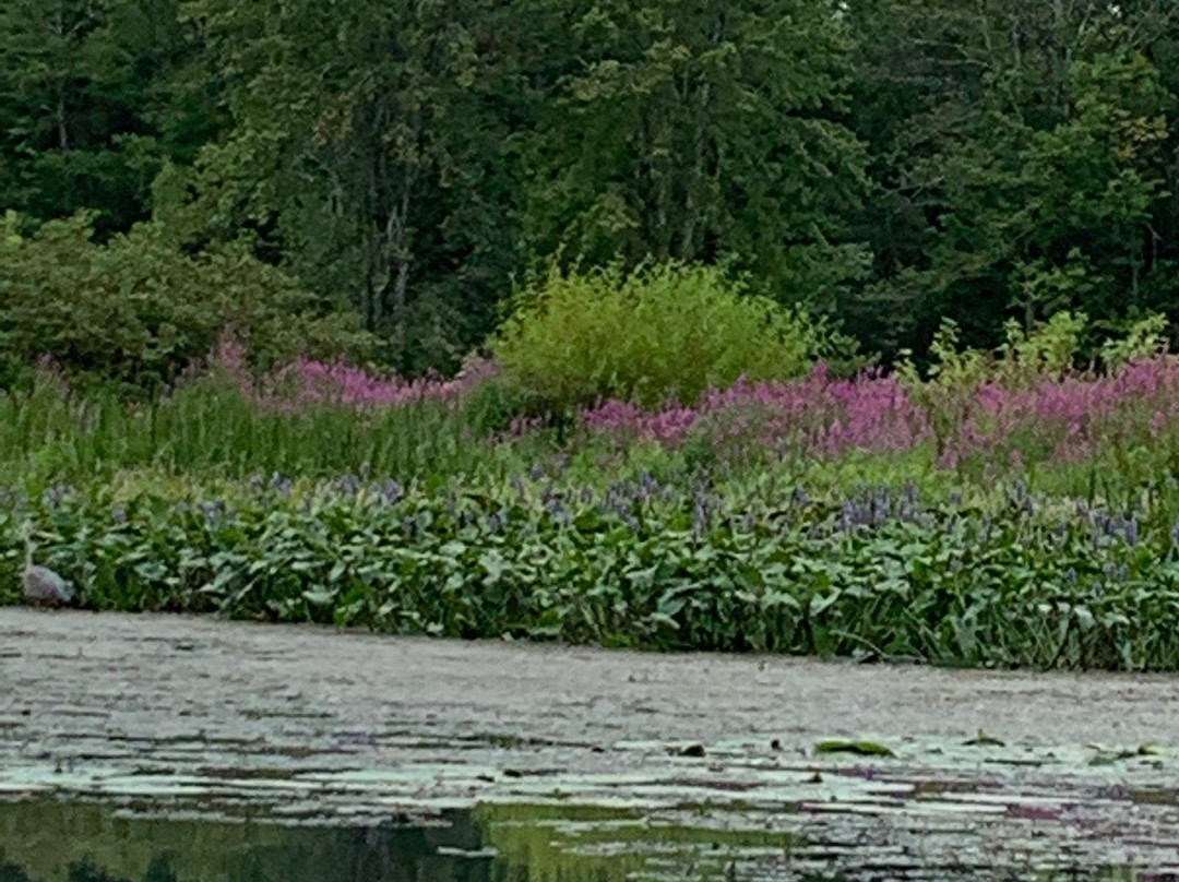 Berkshire Canoe Tours景点图片