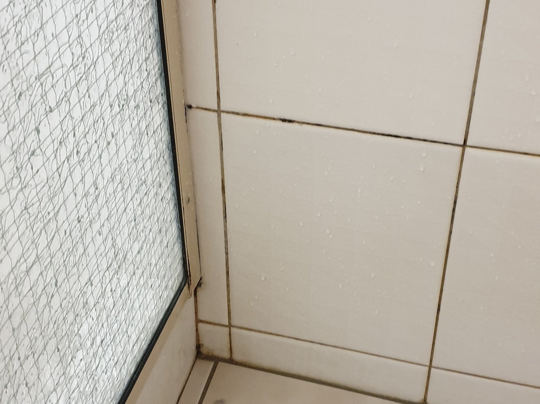 Econo Lodge Toowoomba Motel & Events Centre主图