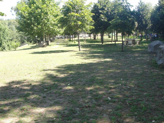 Parque Novo Amieiro Galego-Vila das Aves必去景点
