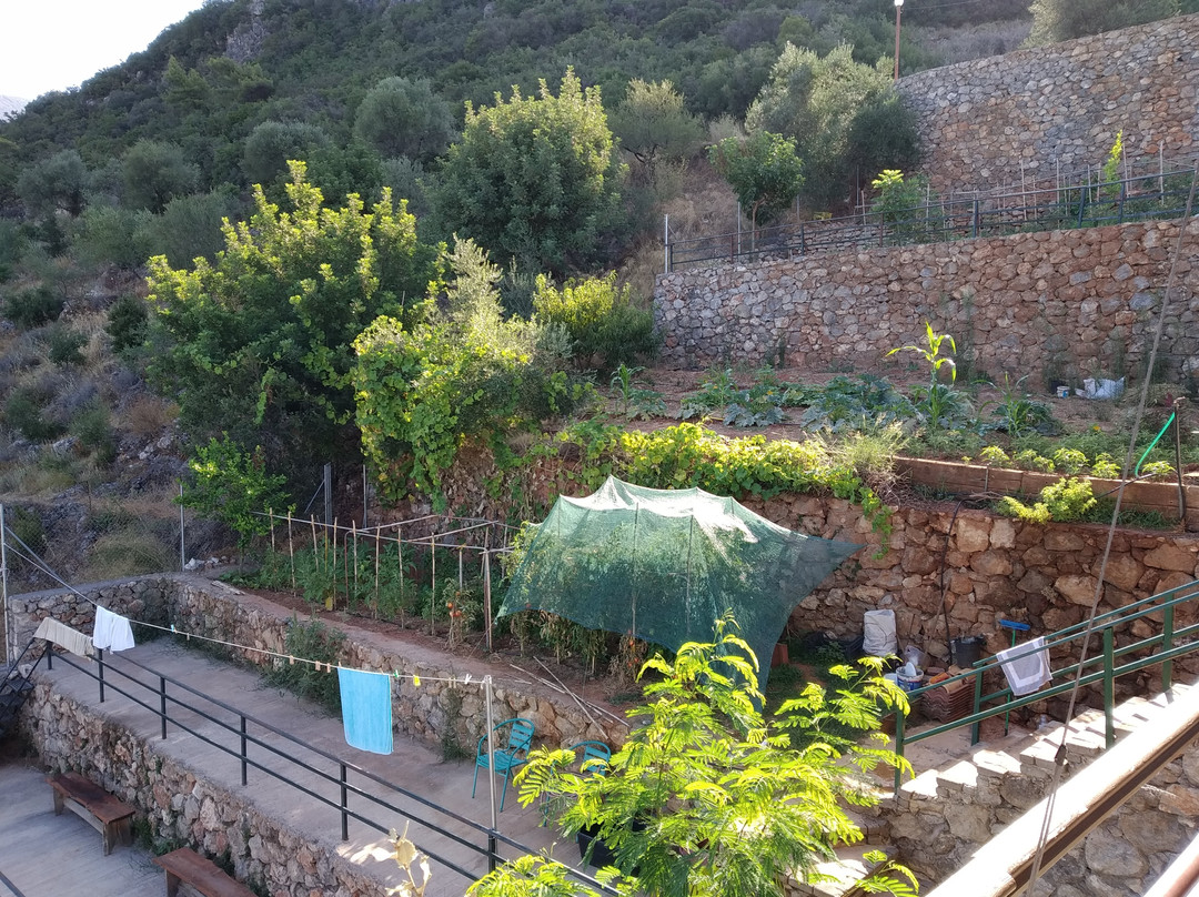 Art Farm Agroktima Marini