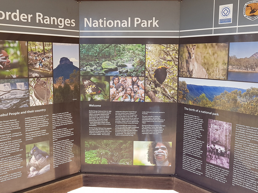 Border Ranges National Park景点图片